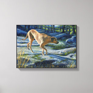 “Kona on the Granite Trail” Canvas Print