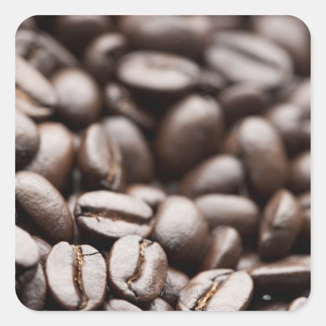 Kona Purple Mountain organic coffee beans Square Sticker (Front)