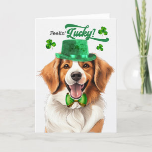 Kooikerhondje Dog Feelin' Lucky St Patrick's Day Holiday Card