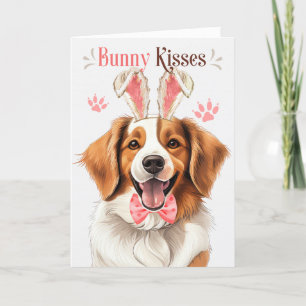 Kooikerhondje Dog in Bunny Ears for Easter Holiday Card