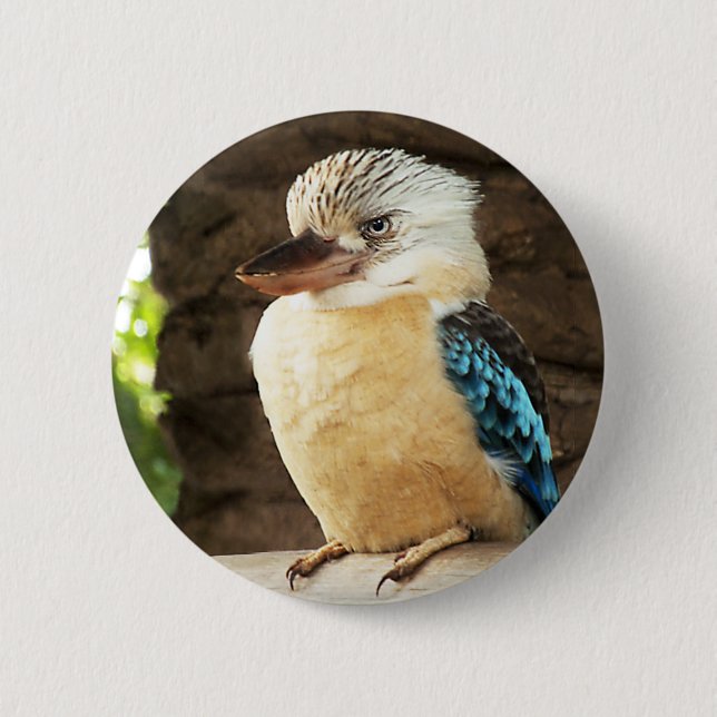 Kookaburra 6 Cm Round Badge (Front)