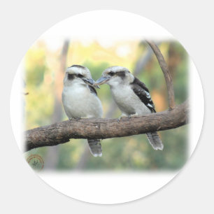 Kookaburra 9Y179D-037 Classic Round Sticker