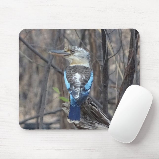 Kookaburra Bird Mouse Mat (With Mouse)