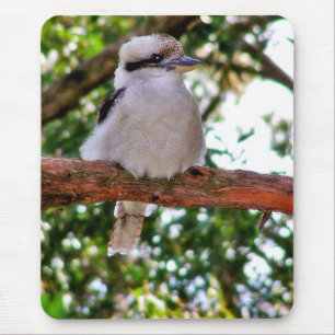 Kookaburra Bird on a tree branch Mousepad