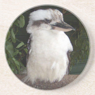 Kookaburra Coaster