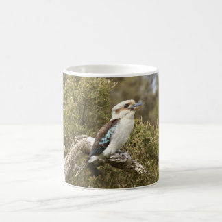 Kookaburra Coffee Mug
