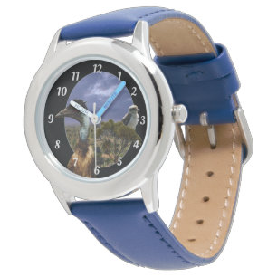 Kookaburra, Emu, Australian Landscape, Kids Watch