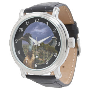 Kookaburra, Emu, Australian Landscape, Watch