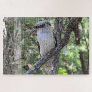 kookaburra jigsaw puzzle