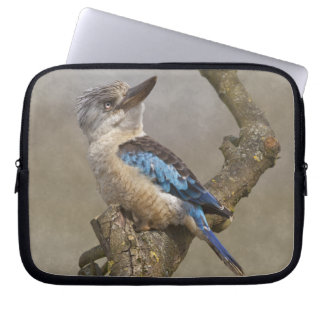 Kookaburra Laptop Sleeve