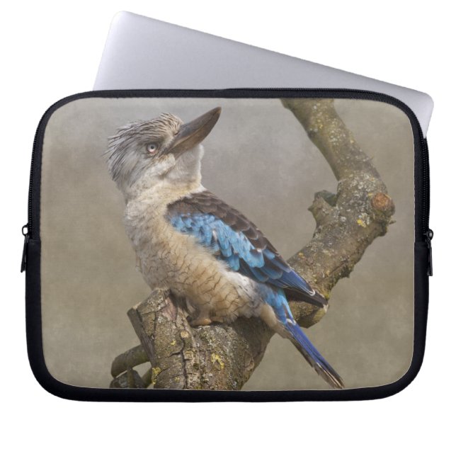 Kookaburra Laptop Sleeve (Front)