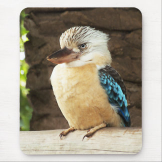 Kookaburra Mouse Mat