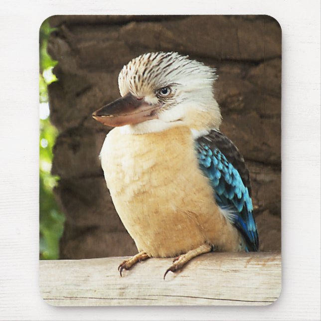 Kookaburra Mouse Mat (Front)