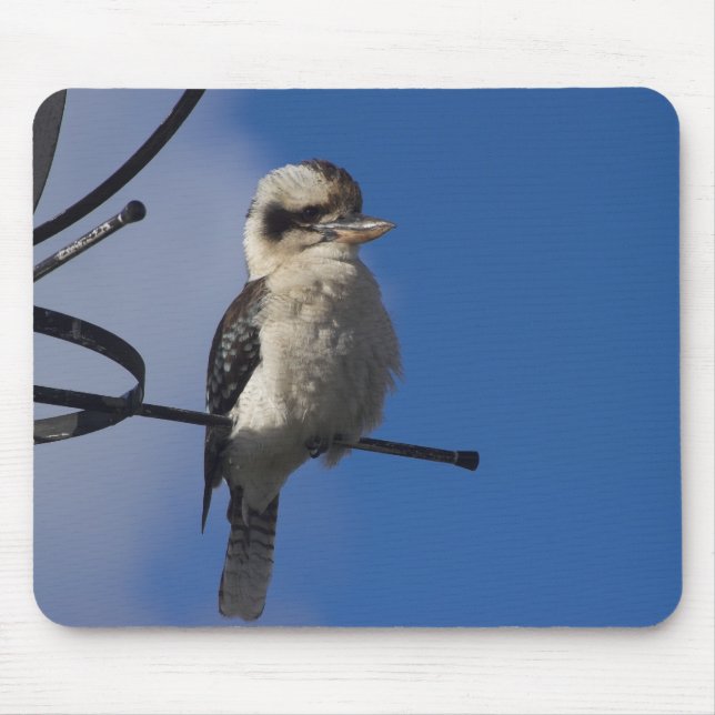 Kookaburra Mouse Mat (Front)