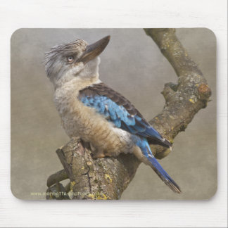 Kookaburra Mousemat