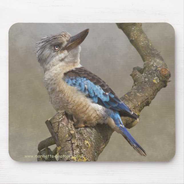Kookaburra Mousemat (Front)
