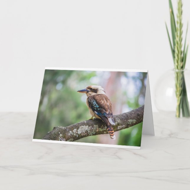 Kookaburra on branch card (Front)