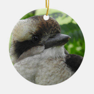 Kookaburra Ornament