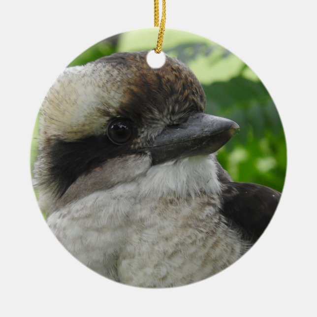 Kookaburra Ornament (Front)