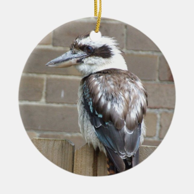 Kookaburra Ornament (Front)