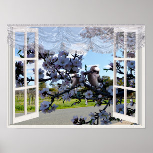 Kookaburras In My Window, Poster