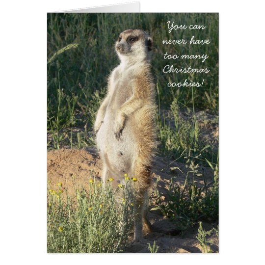 Kookie Klenky - Seasons Greetings Card