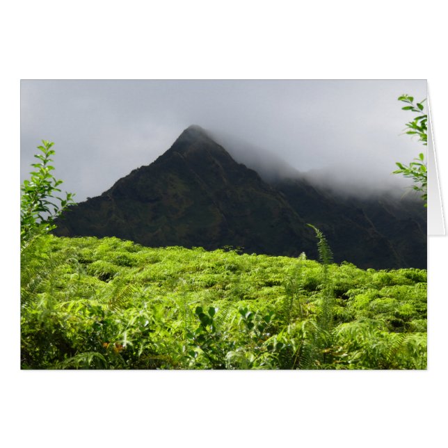 Koolau Mountains (Front Horizontal)