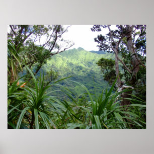 Koolau Mountains above Manoa Valley, O'ahu Poster