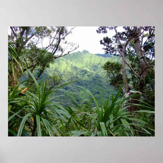 Koolau Mountains above Manoa Valley, O'ahu Poster (Front)