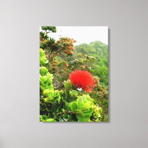 Koolau Mountains Canvas Print