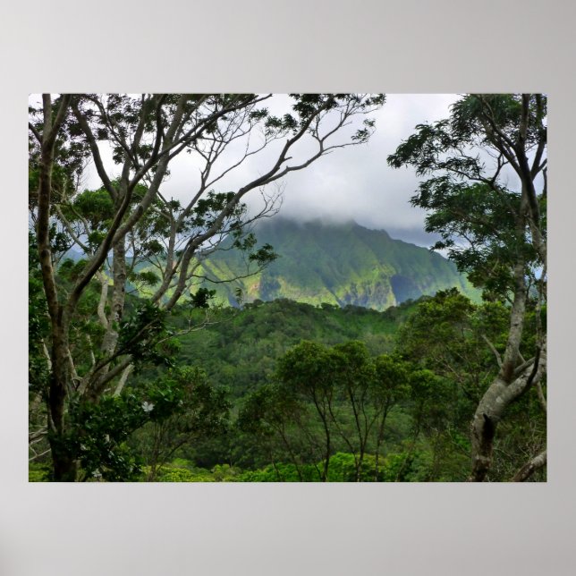 Koolau Mountains Poster (Front)
