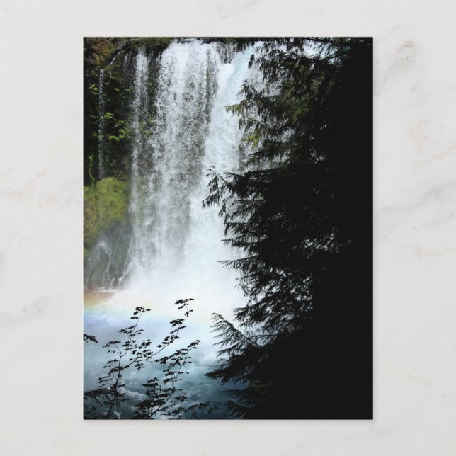 Koosah Falls Oregon Waterfall Postcard (Front)