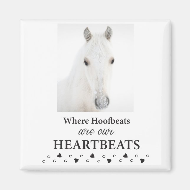 Kootenai magnet (Front)