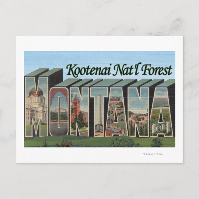 Kootenai Nat'l Forest, Montana Postcard (Front)