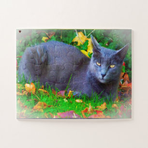Korat Cat Jigsaw Puzzle
