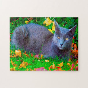 Korat Cats. Jigsaw Puzzle
