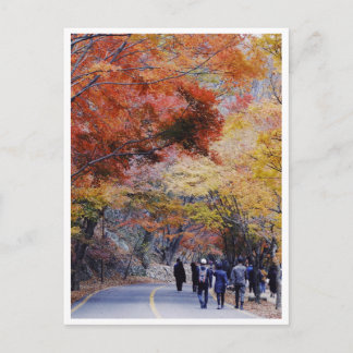 Korea Postcard