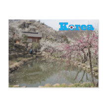 Korea Spring Landscape