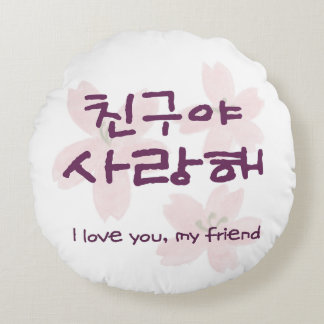 Korean Best Friend Cushion