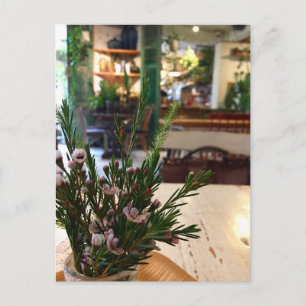 Korean Cafe Postcard