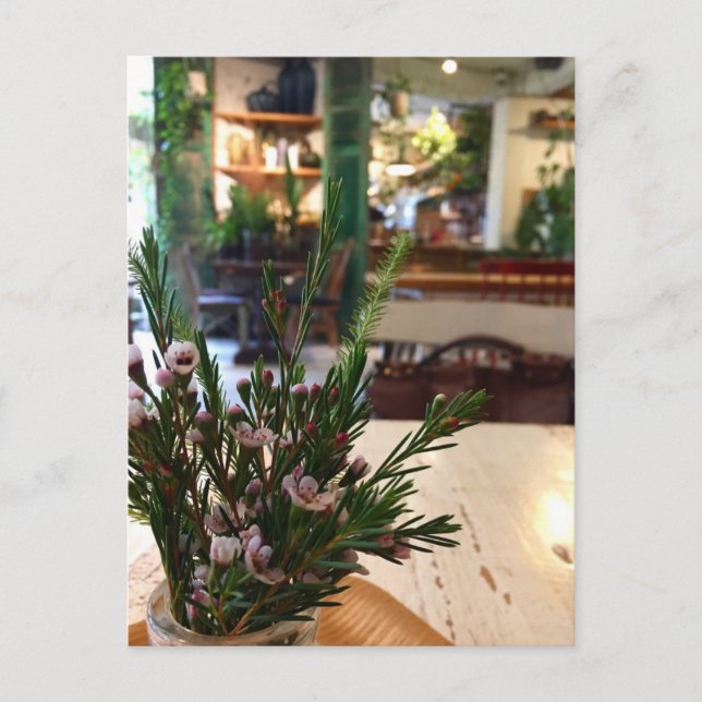 Korean Cafe Postcard (Front)