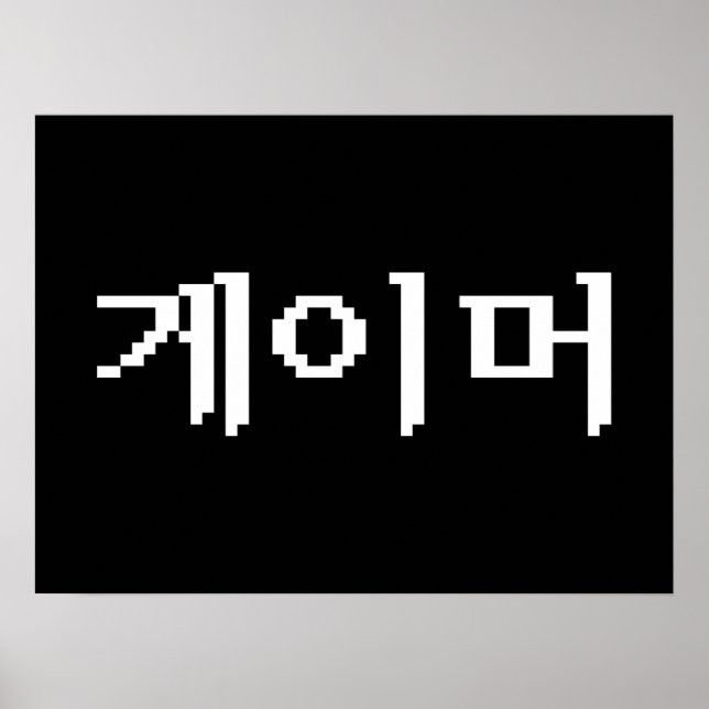 Korean Gamer 게이머 Poster (Front)