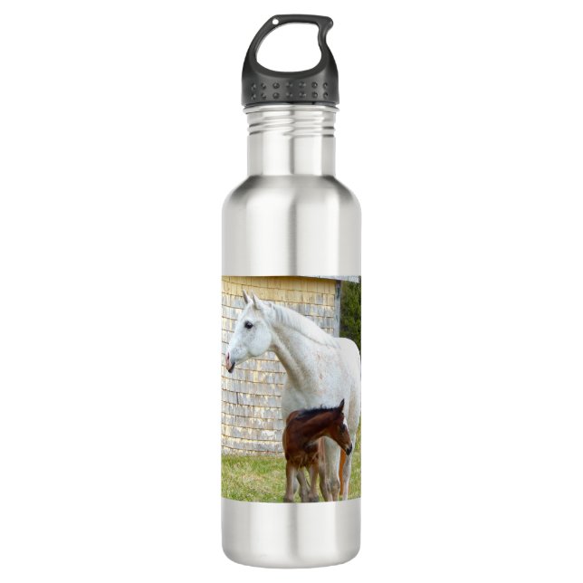 Korra_May7_2016_i11 710 Ml Water Bottle (Front)