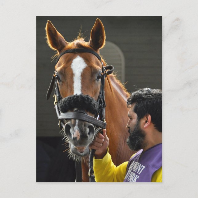 Kosciuszko Postcard (Front)