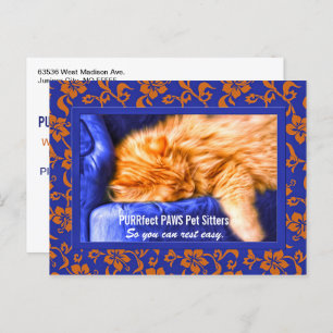 Kouch Kitty Custom Pet Sitter's Advertising Postca Postcard