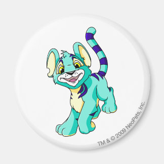Kougra Blue Magnet