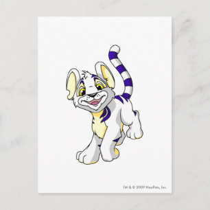 Kougra White Postcard
