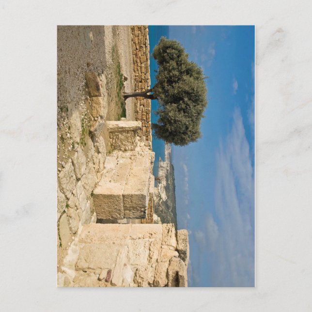 Kourion archaeological site, Cyprus Postcard (Front)