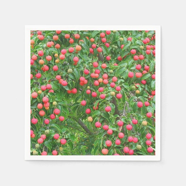Kousa Dogwood Berries Napkin (Front)