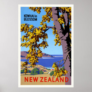 Kowhai in Blossom New Zealand Vintage Poster